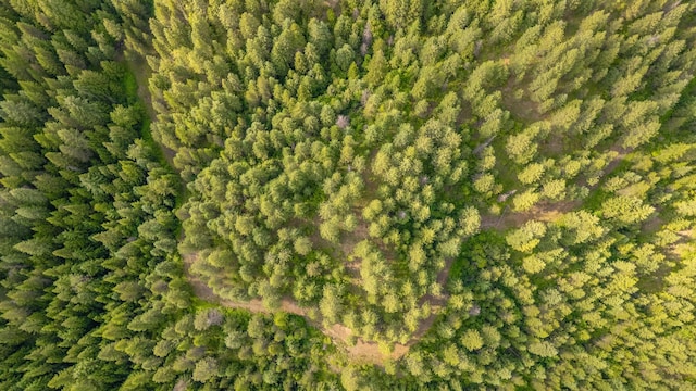 00 Buck Creek Rd, Loon Lake, WA 99148