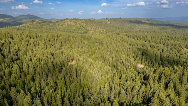 00 Buck Creek Rd, Loon Lake, WA 99148