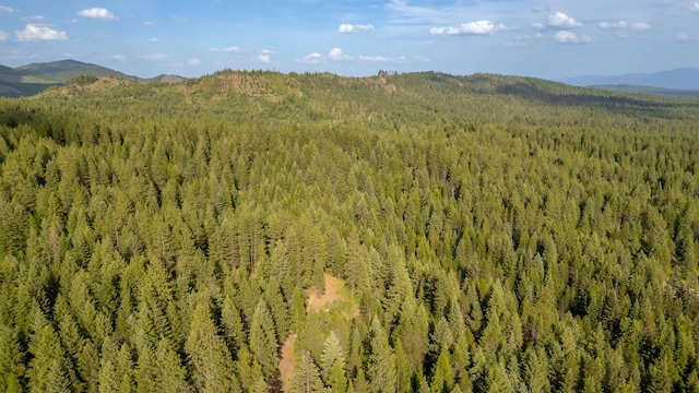 00 Buck Creek Rd, Loon Lake, WA 99148