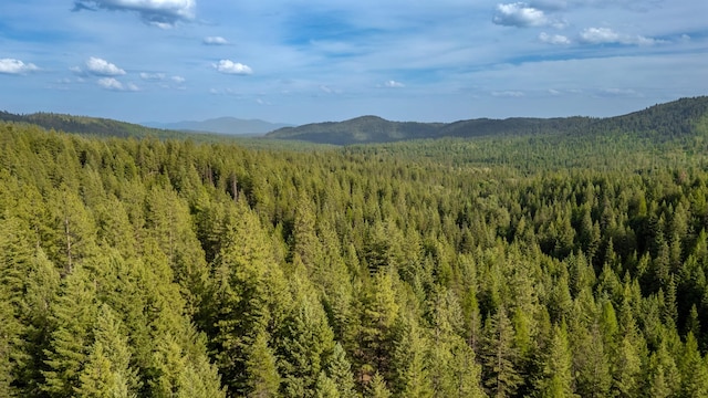 00 Buck Creek Rd, Loon Lake, WA 99148