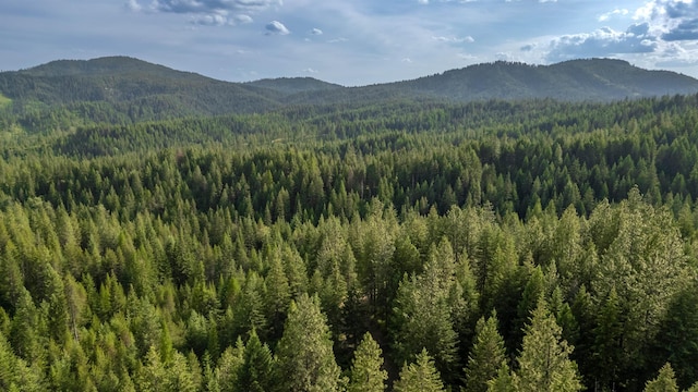 00 Buck Creek Rd, Loon Lake, WA 99148