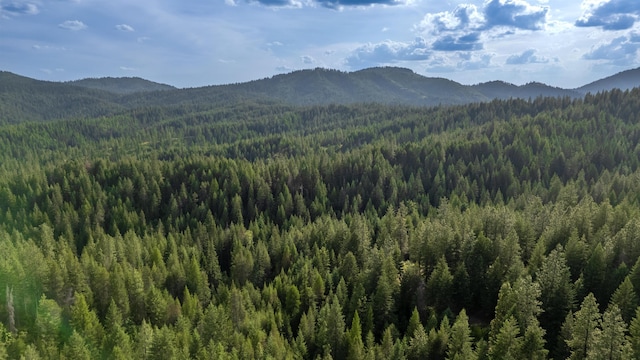 00 Buck Creek Rd, Loon Lake, WA 99148