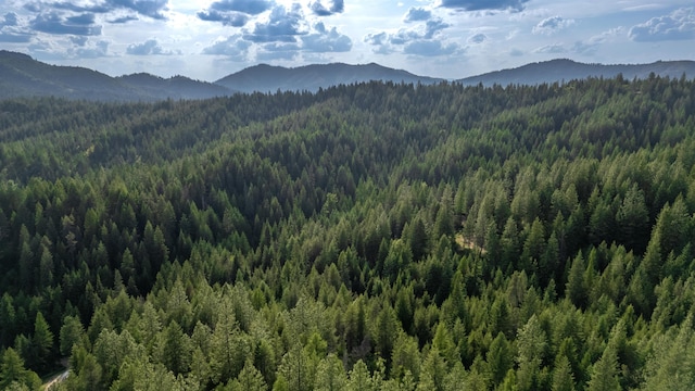 00 Buck Creek Rd, Loon Lake, WA 99148