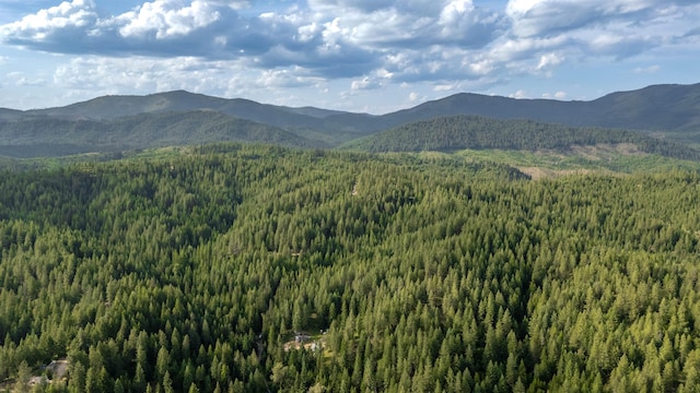 00 Buck Creek Rd, Loon Lake, WA 99148