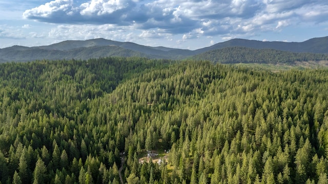 00 Buck Creek Rd, Loon Lake, WA 99148