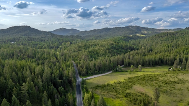 00 Buck Creek Rd, Loon Lake, WA 99148