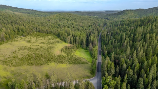 00 Buck Creek Rd, Loon Lake, WA 99148