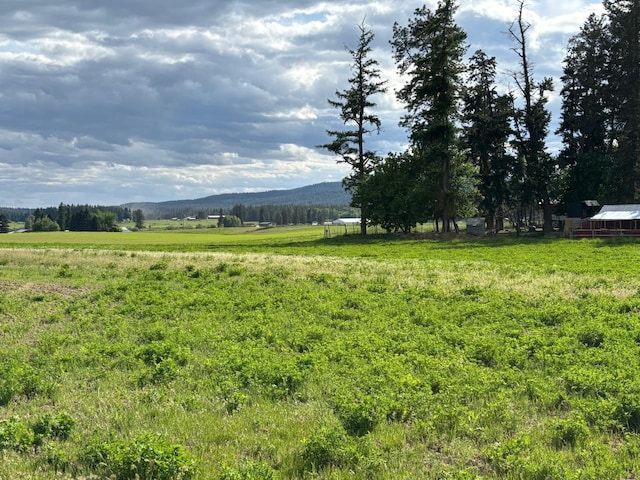 46XX Bittrich-Antler Rd, Deer Park, WA 99006 - photo 11