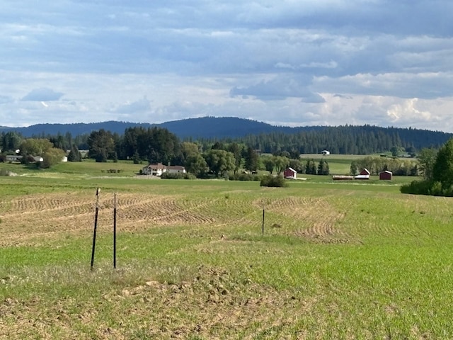 46XX Bittrich-Antler Rd, Deer Park, WA 99006 - photo 14