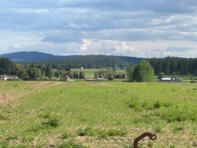 46XX Bittrich-Antler Rd, Deer Park, WA 99006 - photo 3