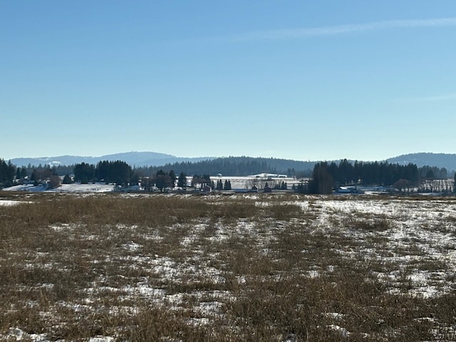 46XX Bittrich-Antler Rd, Deer Park, WA 99006 - photo 21