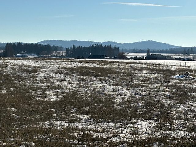 46XX Bittrich-Antler Rd, Deer Park, WA 99006 - photo 22
