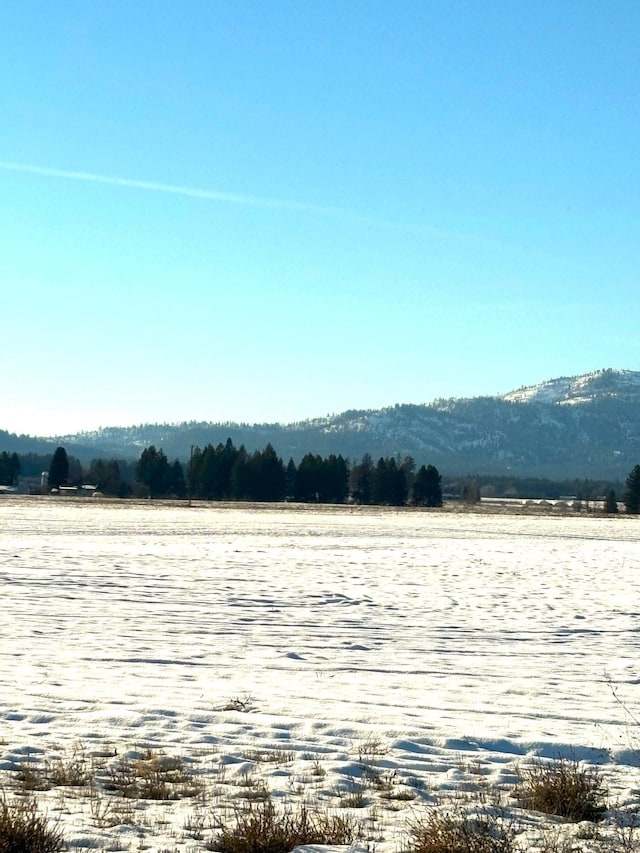 46XX Bittrich-Antler Rd, Deer Park, WA 99006 - photo 26