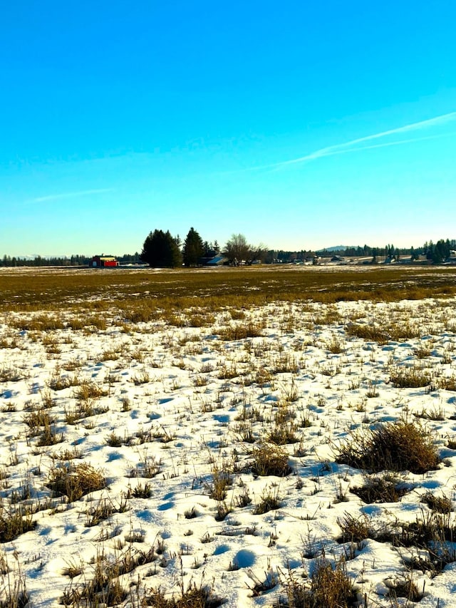 46XX Bittrich-Antler Rd, Deer Park, WA 99006 - photo 29