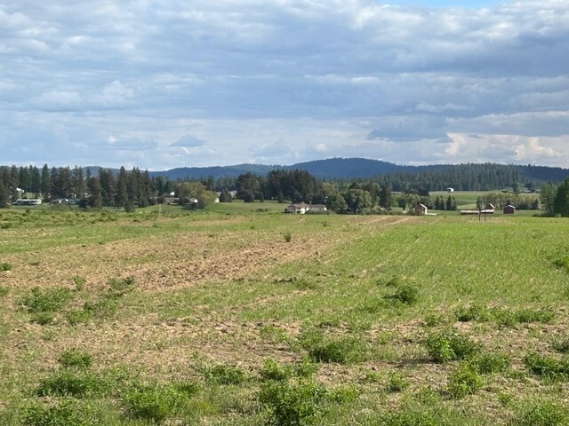 46XX Bittrich-Antler Rd, Deer Park, WA 99006 - photo 5