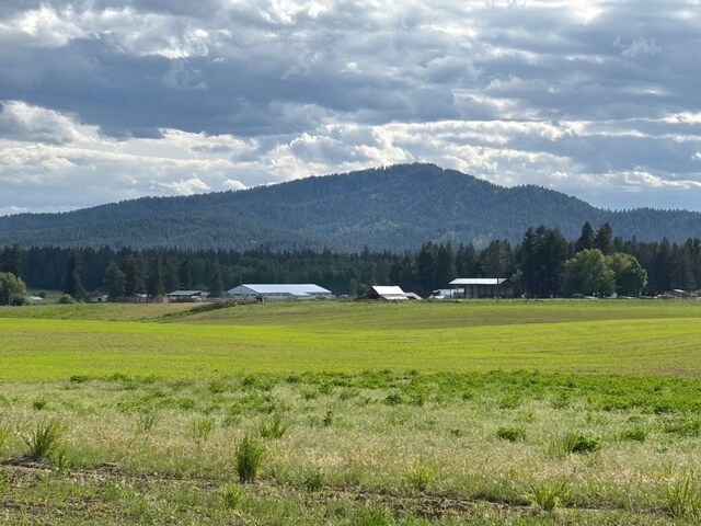 46XX Bittrich-Antler Rd, Deer Park, WA 99006 - photo 7