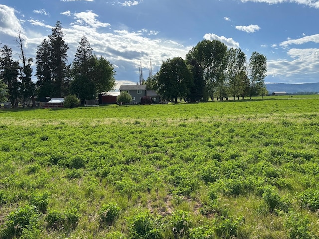 46XX Bittrich-Antler Rd, Deer Park, WA 99006 - photo 8