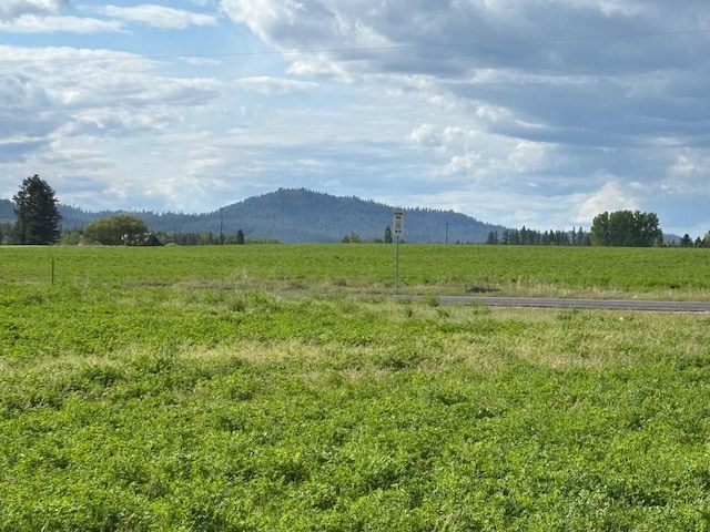 46XX Bittrich-Antler Rd, Deer Park, WA 99006 - photo 9