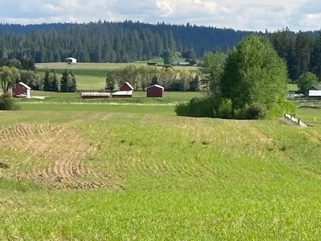 46XX Bittrich-Antler Rd, Deer Park, WA 99006 - photo 10
