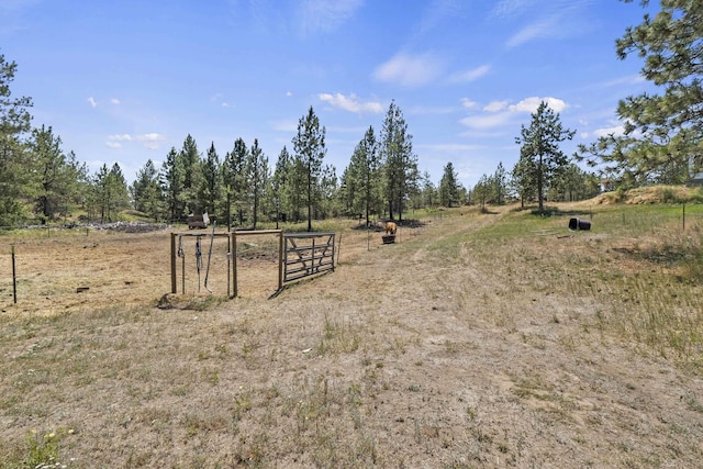 20902 S Ritchey Rd, Spokane, WA 99004 - view of yard with a rural view and a gate