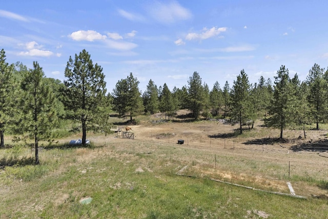 20902 S Ritchey Rd, Spokane, WA 99004 - view of local wilderness with rural landscape
