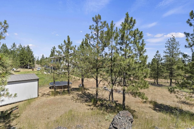 20902 S Ritchey Rd, Spokane, WA 99004 - view of yard featuring a trampoline