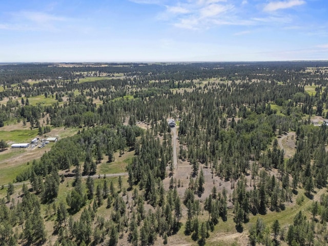 20902 S Ritchey Rd, Spokane, WA 99004 - aerial view of property's location with a forest