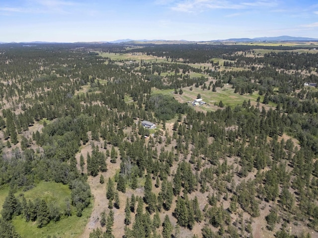 20902 S Ritchey Rd, Spokane, WA 99004 - view of property location featuring a mountainous background and a heavily wooded area