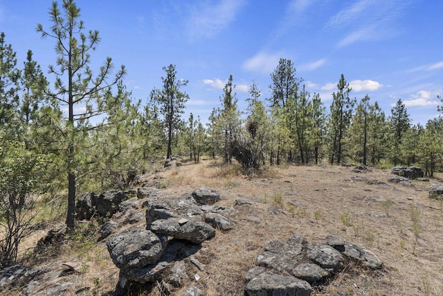 20902 S Ritchey Rd, Spokane, WA 99004 - view of tree filled area