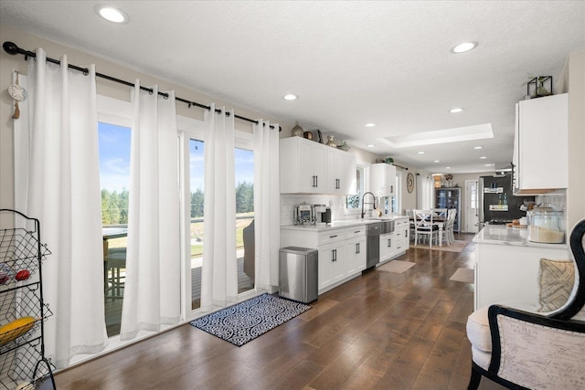 9307 E Morgan Rd, Spokane, WA 99217 - kitchen with light countertops, dark wood-style floors, plenty of natural light, backsplash, and recessed lighting