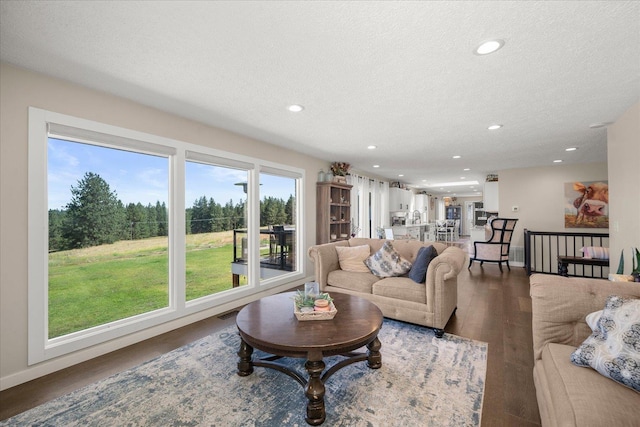 9307 E Morgan Rd, Spokane, WA 99217 - living area with a textured ceiling, dark wood-style floors, and recessed lighting