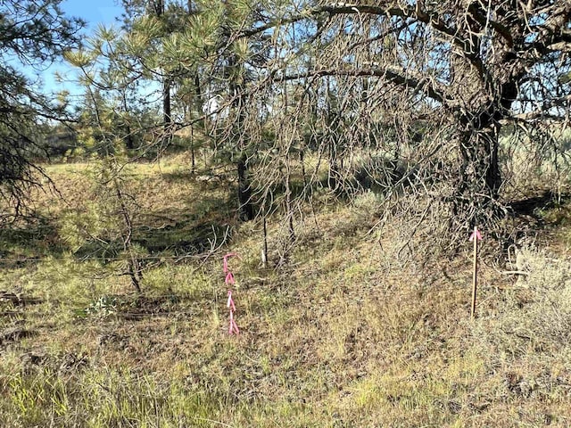 Listing photo - caption unavailable
