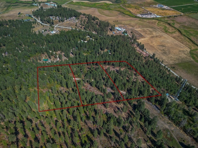 22XX Pine Rose Way, Chewelah, WA 99109 - photo 12