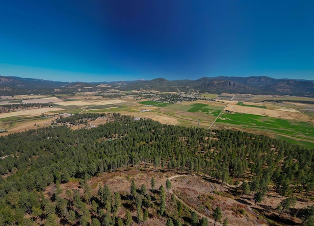 27XX Pine Rose Way, Chewelah, WA 99109