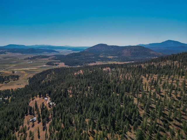 27XX Pine Rose Way, Chewelah, WA 99109