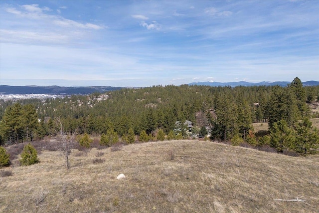 2809 S Park Ln, Spokane, WA 99212 - photo 16