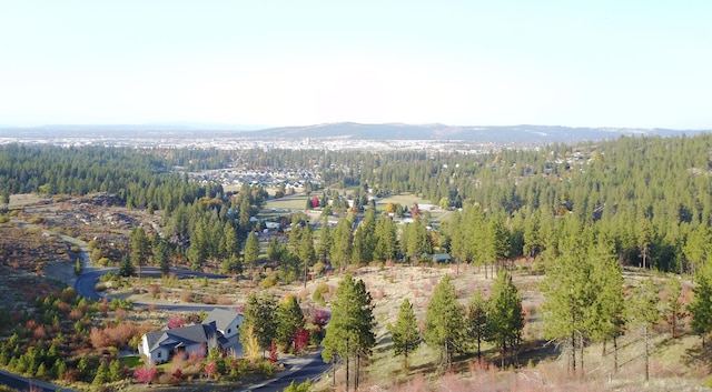 2809 S Park Ln, Spokane, WA 99212 - photo 3