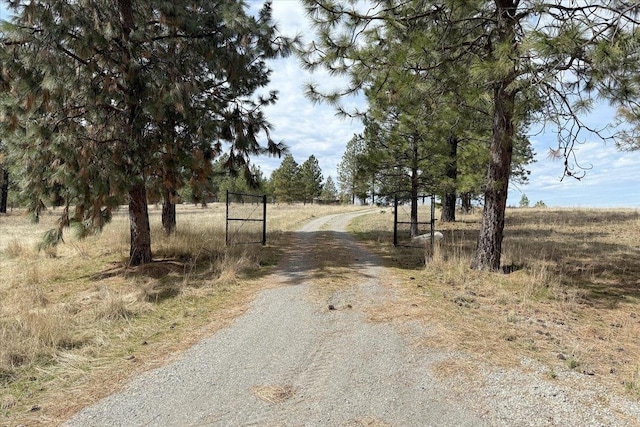 2809 S Park Ln, Spokane, WA 99212 - photo 23