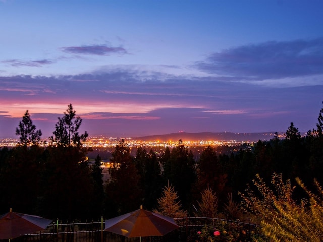 2809 S Park Ln, Spokane, WA 99212 - photo 26