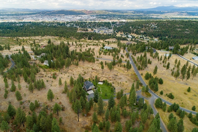 2809 S Park Ln, Spokane, WA 99212 - photo 27