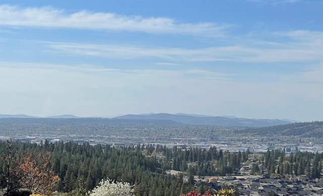 2809 S Park Ln, Spokane, WA 99212 - photo 4