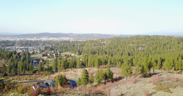 2809 S Park Ln, Spokane, WA 99212 - photo 6