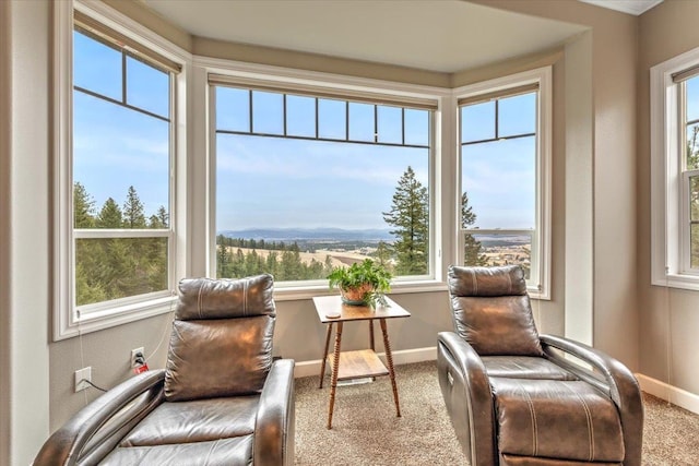 6808 S Jackson Ridge Ln, Greenacres, WA 99016 - living area with carpet and baseboards