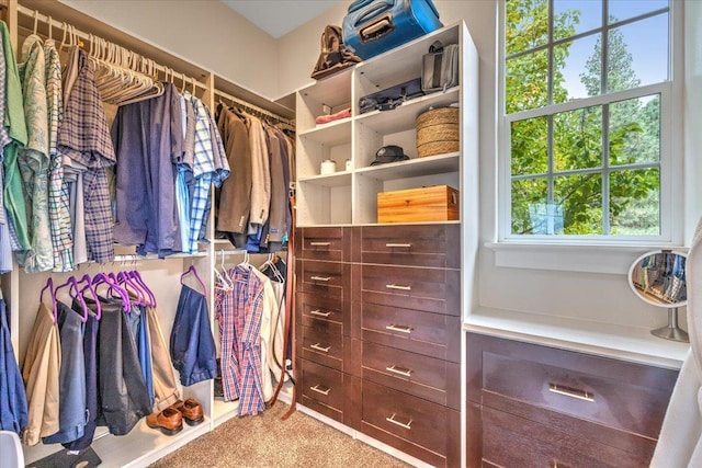 6808 S Jackson Ridge Ln, Greenacres, WA 99016 - walk in closet with carpet floors