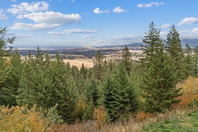 6808 S Jackson Ridge Ln, Greenacres, WA 99016 - mountain view with a forest