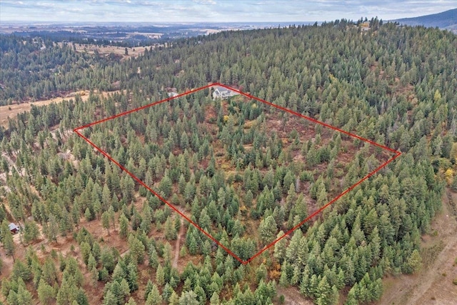 6808 S Jackson Ridge Ln, Greenacres, WA 99016 - aerial view of property's location with a forest and property parcel outlined