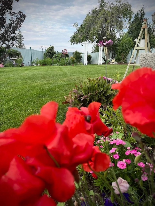 6419 W Skagit Ave, Spokane, WA 99208 - view of yard