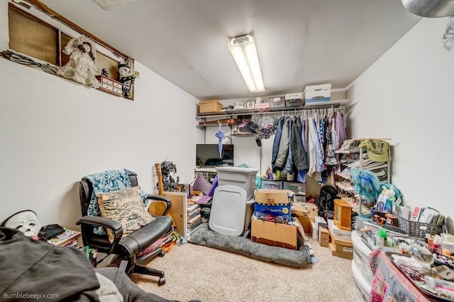 803 E Queen Ave, Spokane, WA 99207 - walk in closet with carpet