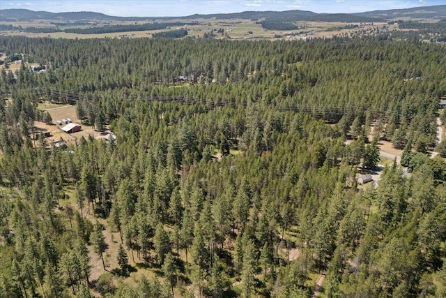 28310 N Short Rd, Deer Park, WA 99006 - photo 44