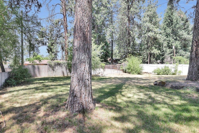 13709 E 30th Ave, Spokane Valley, WA 99216 - view of fenced backyard